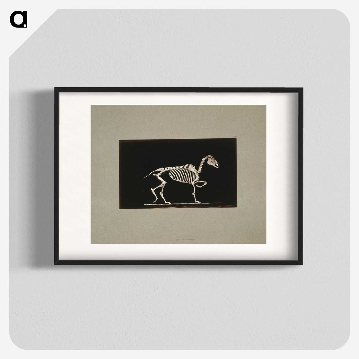 3-2_Eadweard-Muybridge_blk