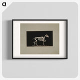 3-2_Eadweard-Muybridge_blk