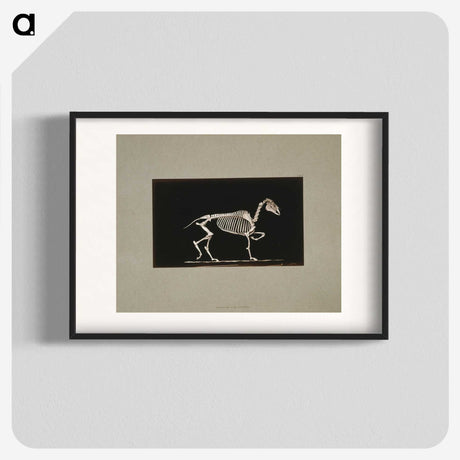 3-2_Eadweard-Muybridge_blk