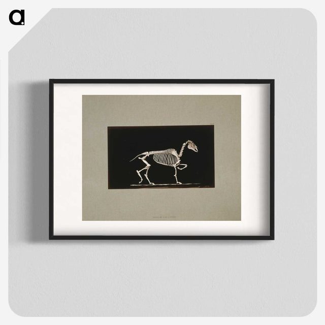 3-2_Eadweard-Muybridge_blk