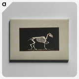 3-2_Eadweard-Muybridge_canvas
