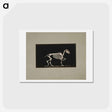 アートポストカード-Trotting Horse Skeleton
 - エドワード マイブリッジ Postcard.