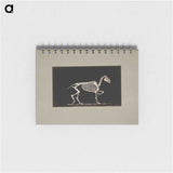 3-2_Eadweard-Muybridge_memo