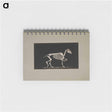 アートメモ帳-Trotting Horse Skeleton
 - エドワード マイブリッジ Memo.