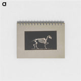アートメモ帳-Trotting Horse Skeleton
 - エドワード マイブリッジ Memo.