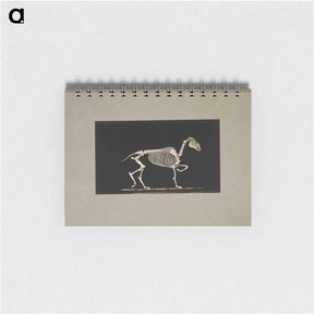 アートメモ帳-Trotting Horse Skeleton
 - エドワード マイブリッジ Memo.