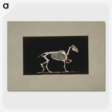 3-2_Eadweard-Muybridge_picture-crop