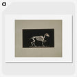 3-2_Eadweard-Muybridge_picture