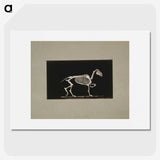 3-2_Eadweard-Muybridge_picture