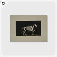 3-2_Eadweard-Muybridge_postcard