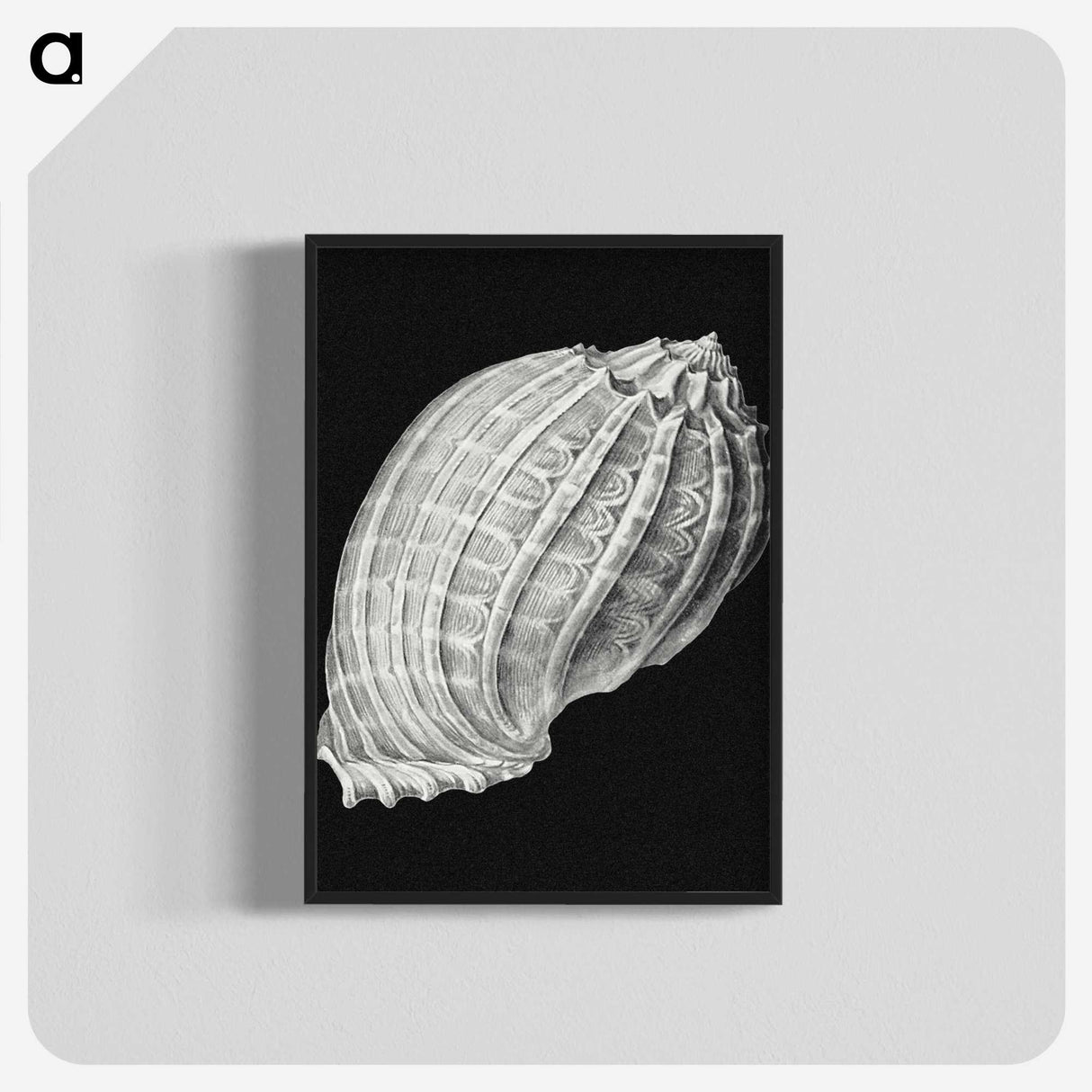 3-2_Ernst-Haeckel_blk-crop
