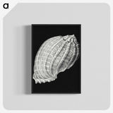 3-2_Ernst-Haeckel_blk-crop
