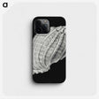 3-2_Ernst-Haeckel_phone