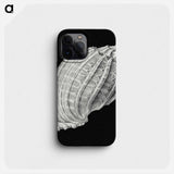 Vintage shell marine life illustration - エルンスト ヘッケル Phone Case.