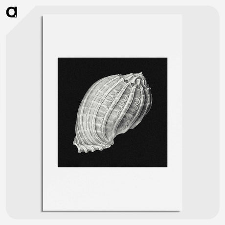 3-2_Ernst-Haeckel_picture