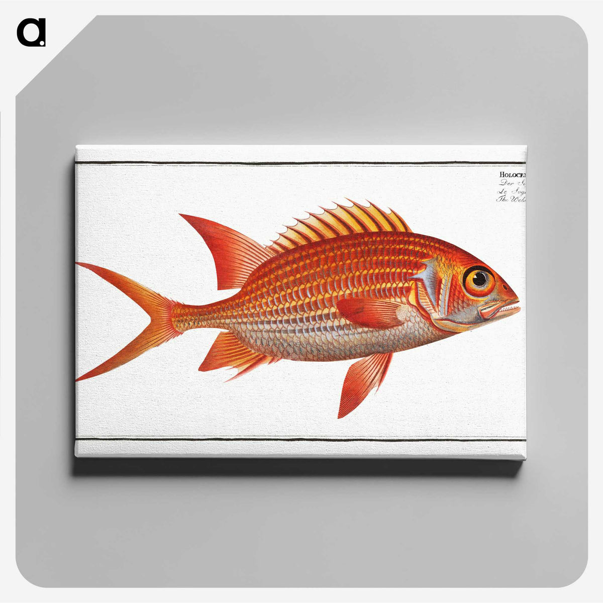 3-2_Ichtyologie-ou-Histoire-naturelle_canvas