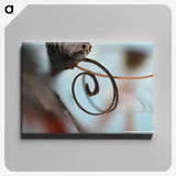 3-2_Insects-Unlocked-Project_canvas