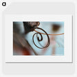 3-2_Insects-Unlocked-Project_picture