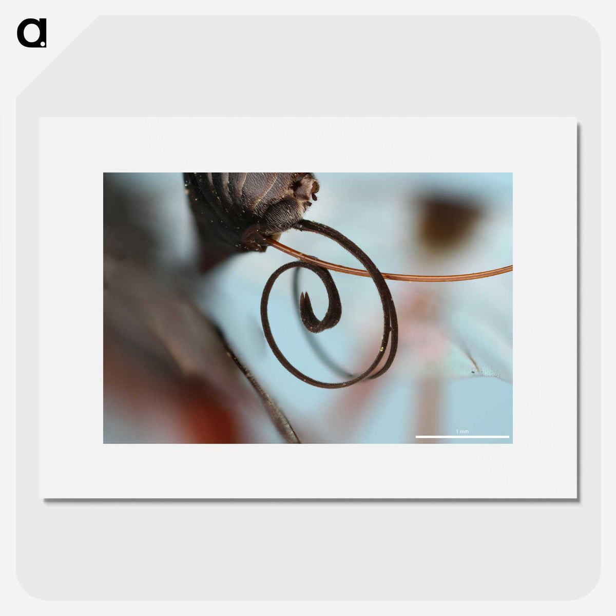 3-2_Insects-Unlocked-Project_picture
