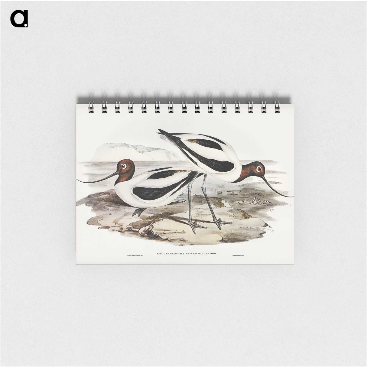 3-2_John-Gould_memo