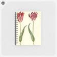 アートメモ帳-Tulipa Gesneriana
 - マリア ジビーラ メーリアン Memo.