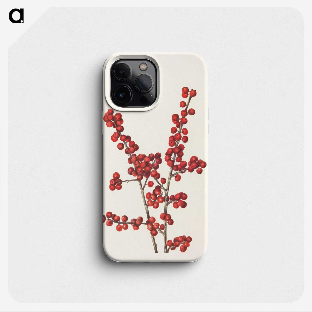 3-2_Mary-Vaux-Walcott_phone