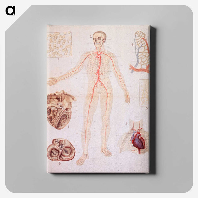 3-2_National-Library-of-Medicine_canvas
