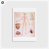 3-2_National-Library-of-Medicine_hagaki