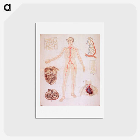 3-2_National-Library-of-Medicine_hagaki