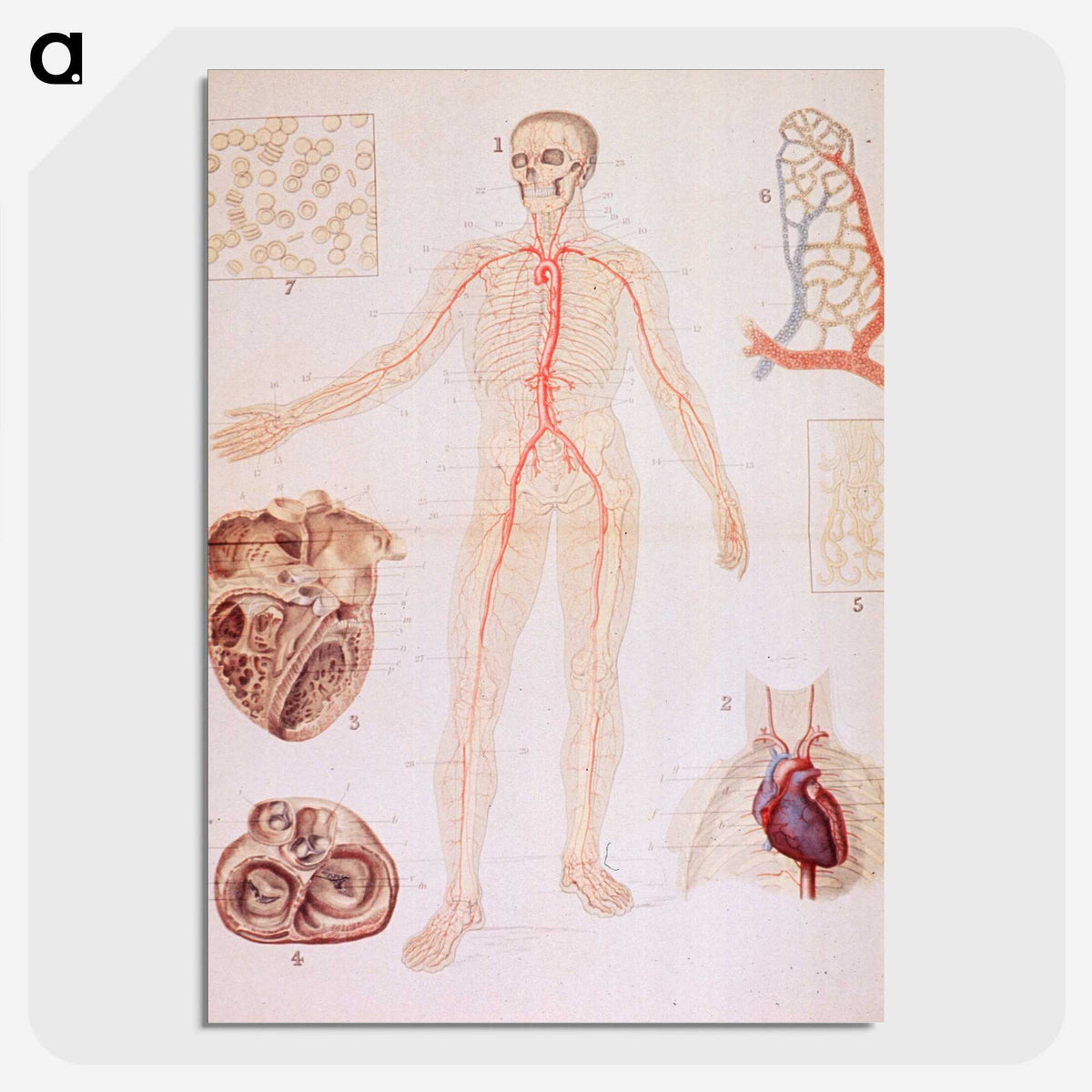 3-2_National-Library-of-Medicine_picture-crop