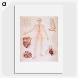 3-2_National-Library-of-Medicine_picture