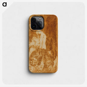 3-2_Odilon-Redon_phone