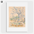 3-2_Paul-Cezanne_picture