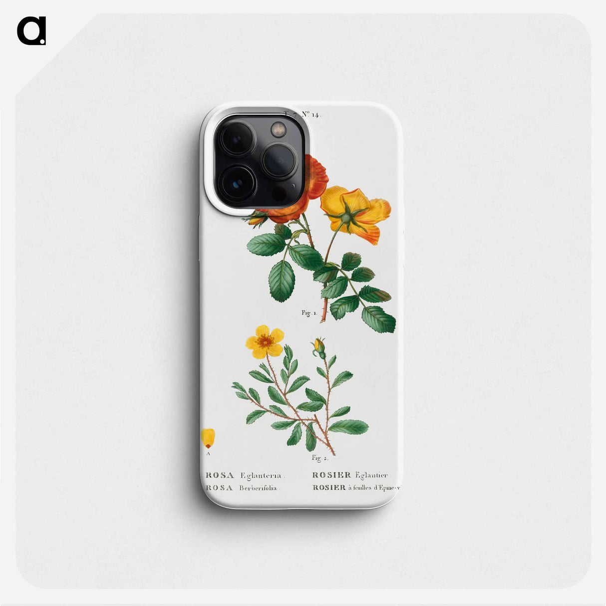 Sweetbriar rose, Rosa eglanteria 2. Hulthemia rose, Rosa berberifolia - Pierre Joseph Redouté Phone Case.