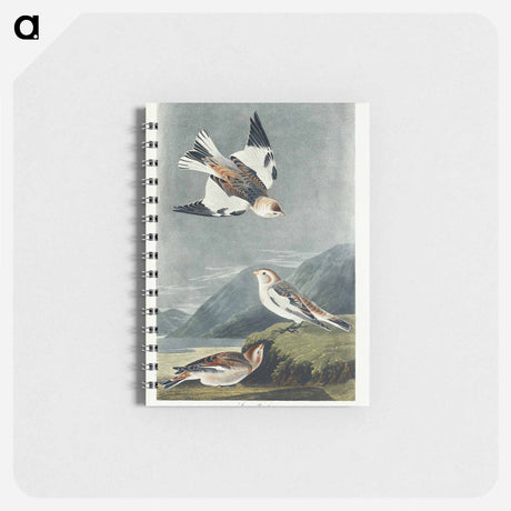 アートメモ帳-Snow Bunting from Birds of America
 - アメリカの鳥たち Memo.
