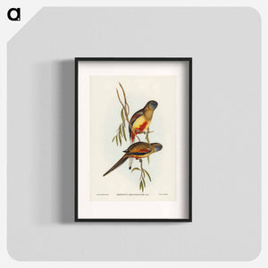 オーストラリア