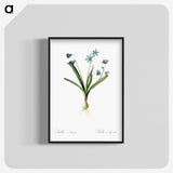 3-2_The-Lilies_blk-crop