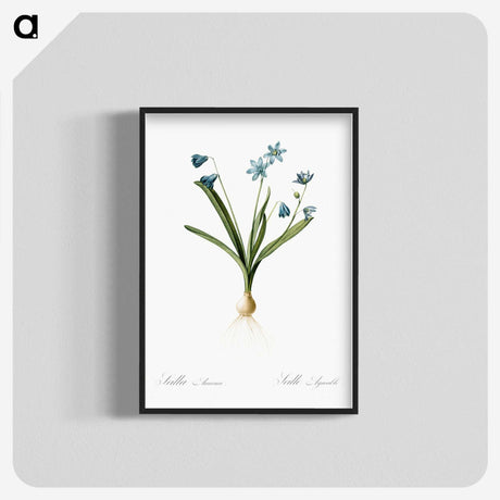 3-2_The-Lilies_blk-crop