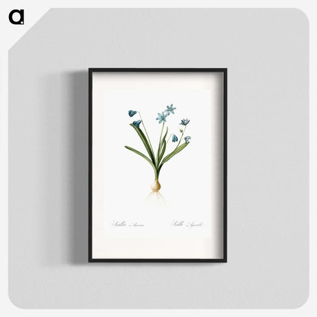 3-2_The-Lilies_blk
