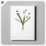 3-2_The-Lilies_canvas