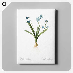 3-2_The-Lilies_canvas