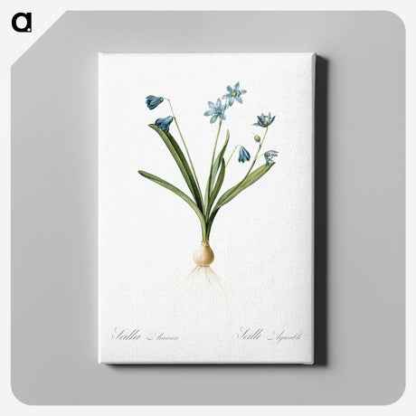 3-2_The-Lilies_canvas