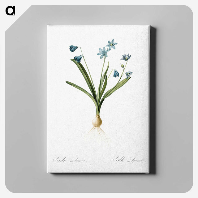 3-2_The-Lilies_canvas
