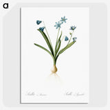 3-2_The-Lilies_picture-crop