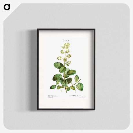 3-2_Treatise-on-Trees-and-Shrubs_blk