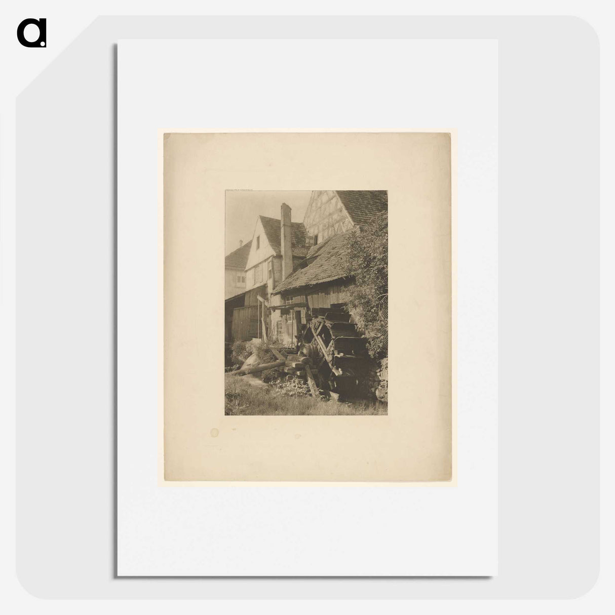 3-30_Alfred-Stieglitz_picture