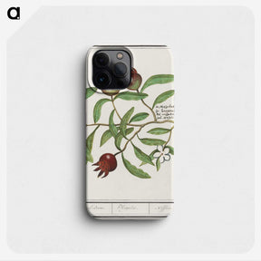 3-30_Anselmus-Boetius-de-Boodt_phone