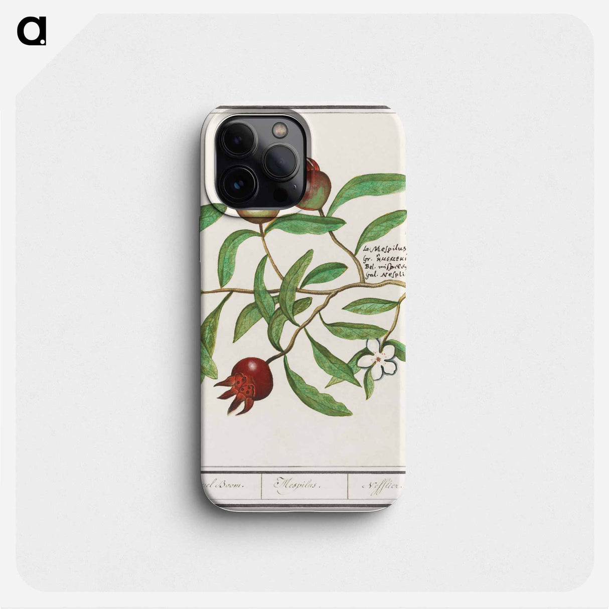 Mispel, Mespilus germanica - アンセルムス ボエティウス デ ブート Phone Case.