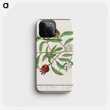 Mispel, Mespilus germanica - アンセルムス ボエティウス デ ブート Phone Case.