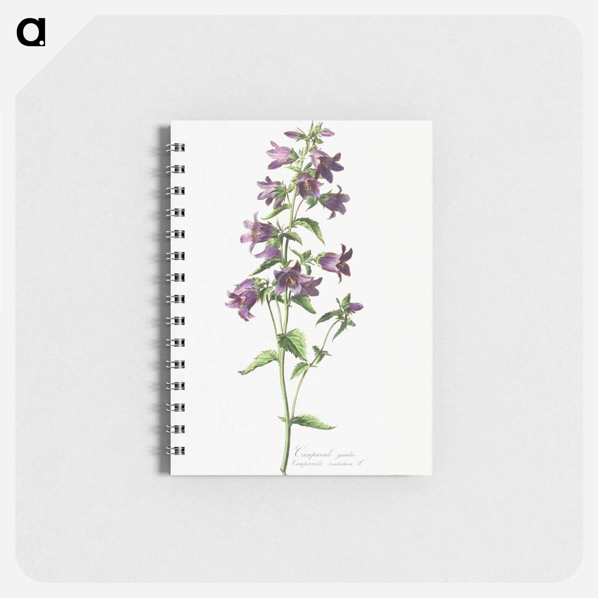 アートメモ帳-Campanule Gantelée
 - クリーブランド美術館 Memo.